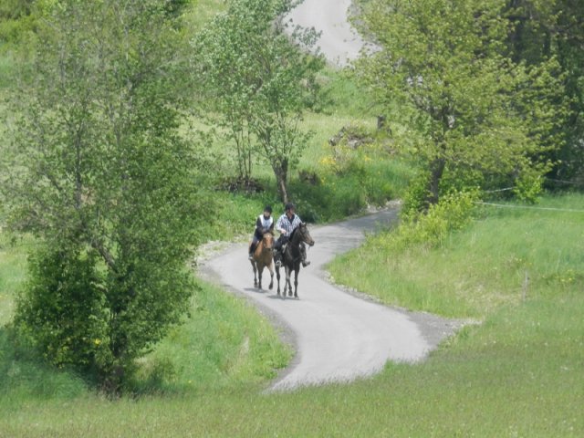 Rajd Mszana Górna 2015